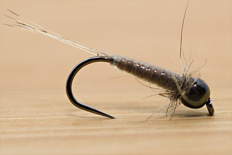 brown-wet-micro-nymph-tied-with-troutline-catgut-biothread