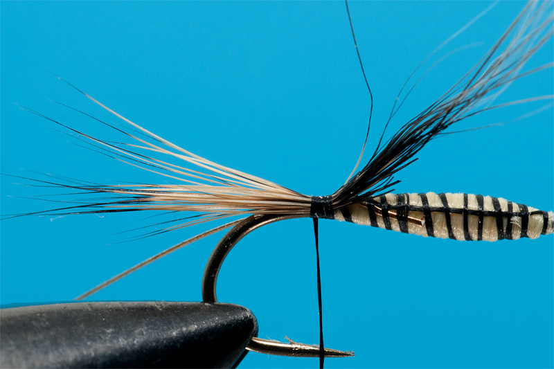 tying Gold Ribbed Hare - step 3