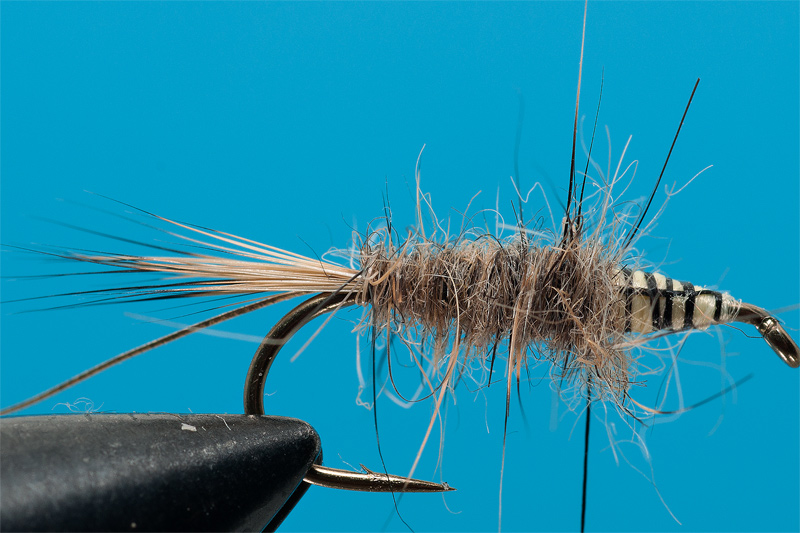 tying Gold Ribbed Hare - step 4