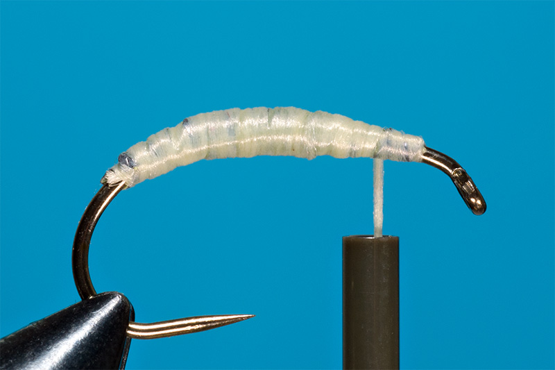 tying-gammarus-nymph-step-2-fixing-the-underbody-thread