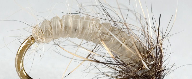 closeup at a nymph body tied with catgut