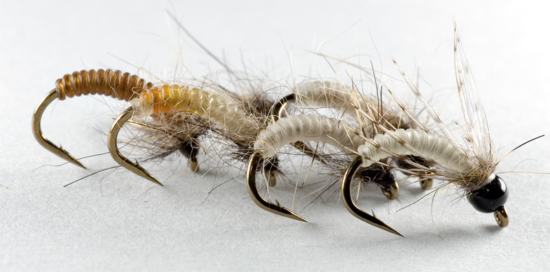 nymphs tied with catgut