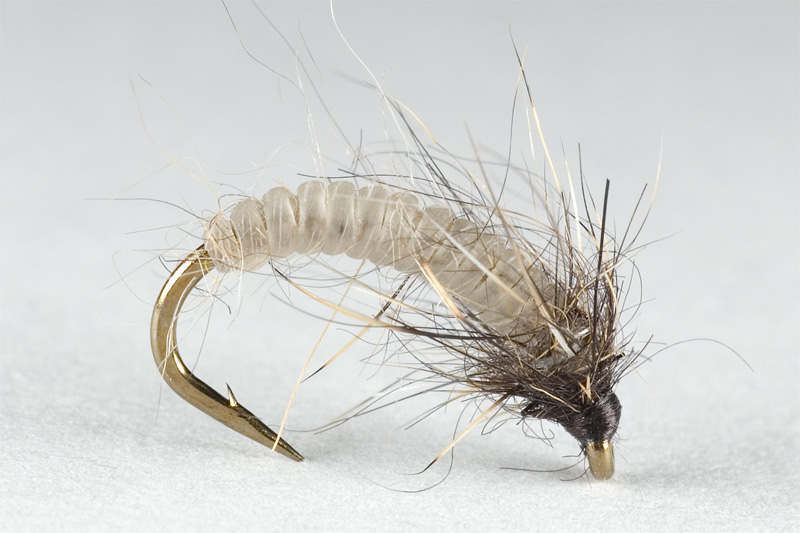 small caddis pupae tied with catgut on size #16 hook