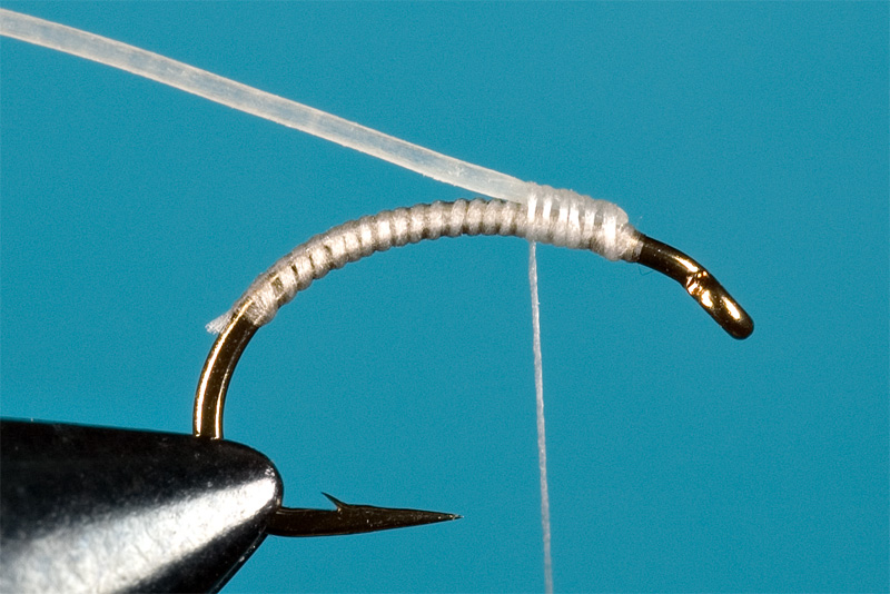 step 2 in tying a micro catgut nymph