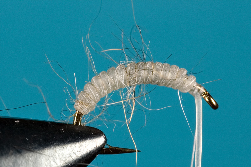 step 4 in tying a micro catgut nymph