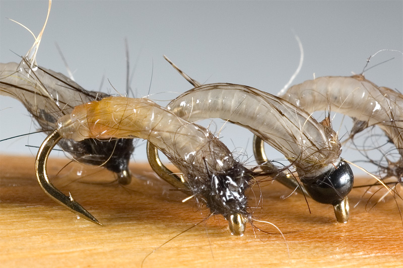 translucent nymph body tied with catgut biothread