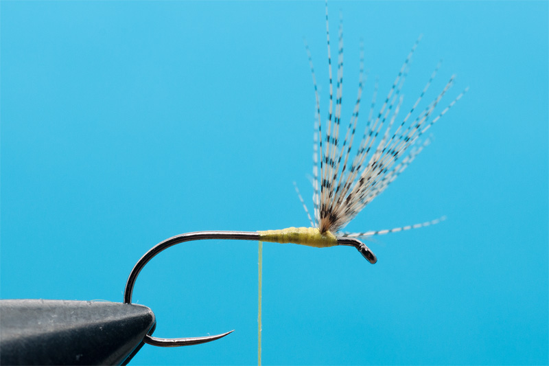 cdc mayfly for trout 1