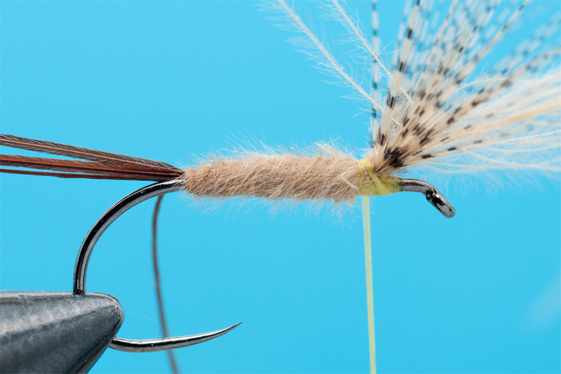 cdc mayfly for trout 4