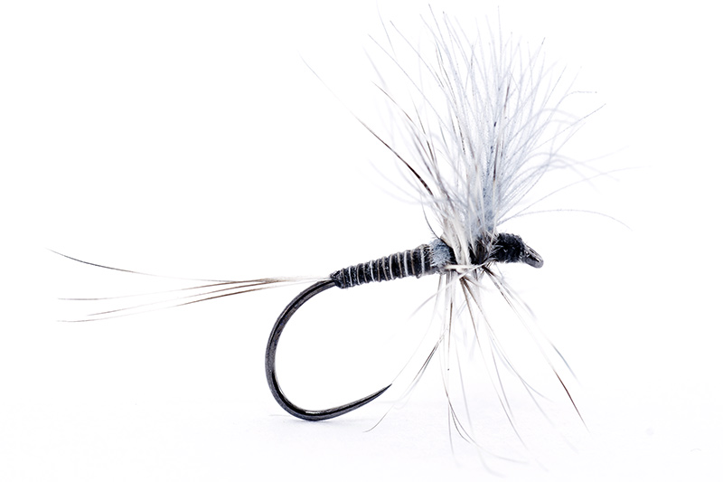 mosquito-dry-fly-from-troutline