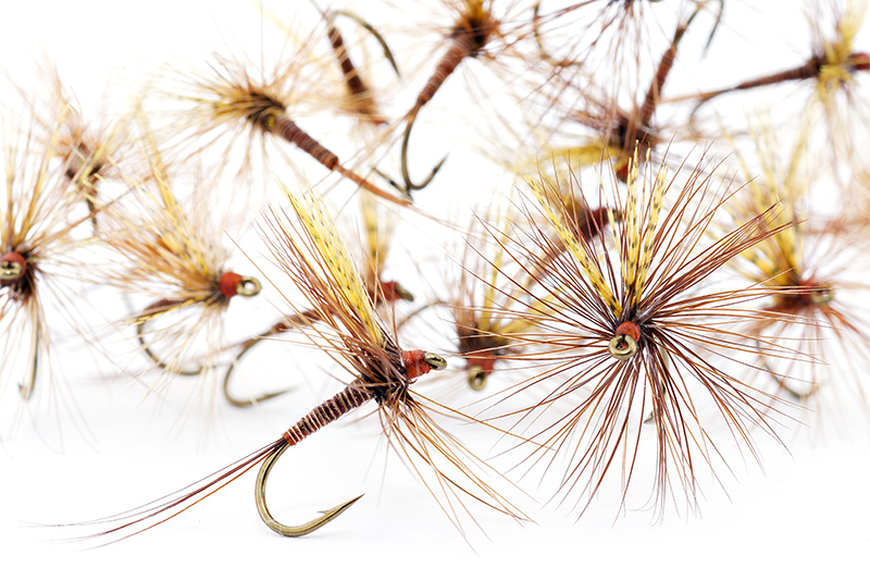 red-quill-dry-flies-catskill-style
