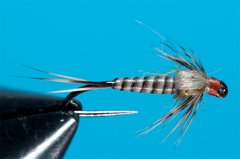 nymph tied with troutline peacock quill