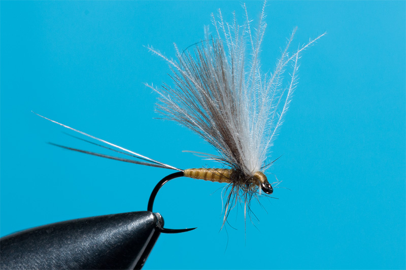 how to increase visibility for your dry flies step 6