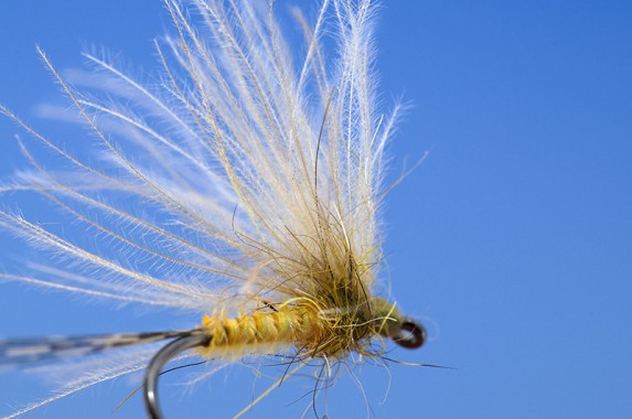Tag Archive for "flies" | Fly Tying