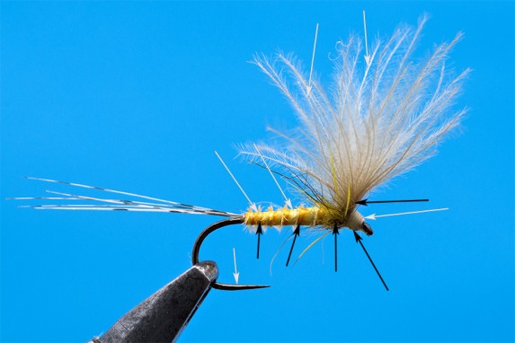 How to make macro photos for your flies- Part 2