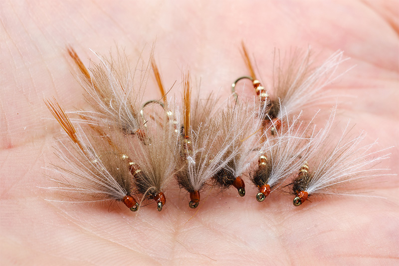 Emu feathers used in fly tying