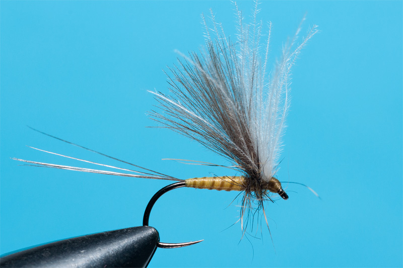 how to increase visibility for your dry flies step 5