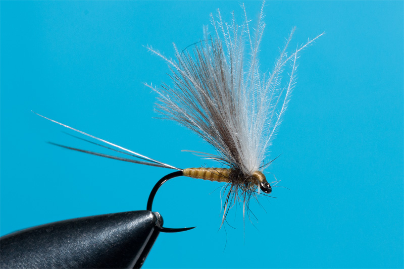 Emu feathers used in fly tying