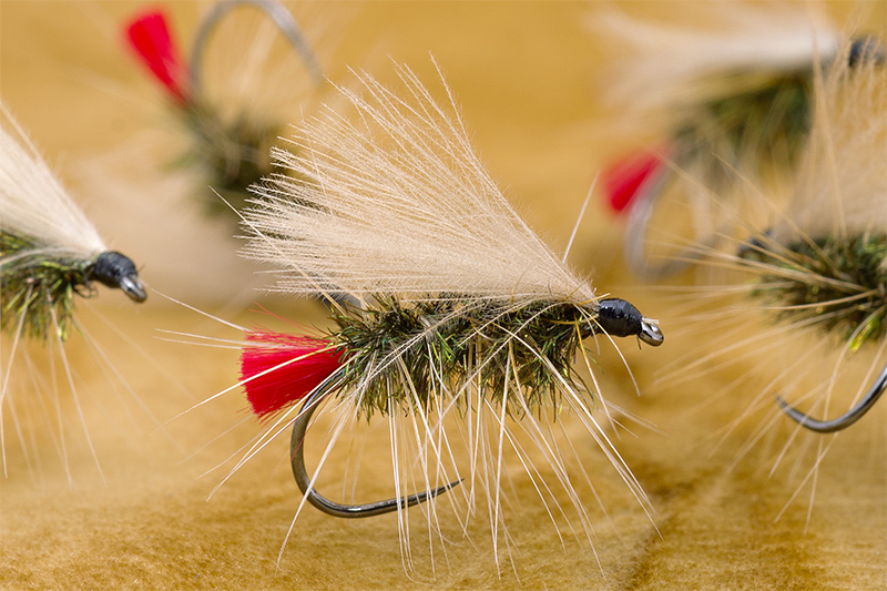 Caddis Palmered Red Dry