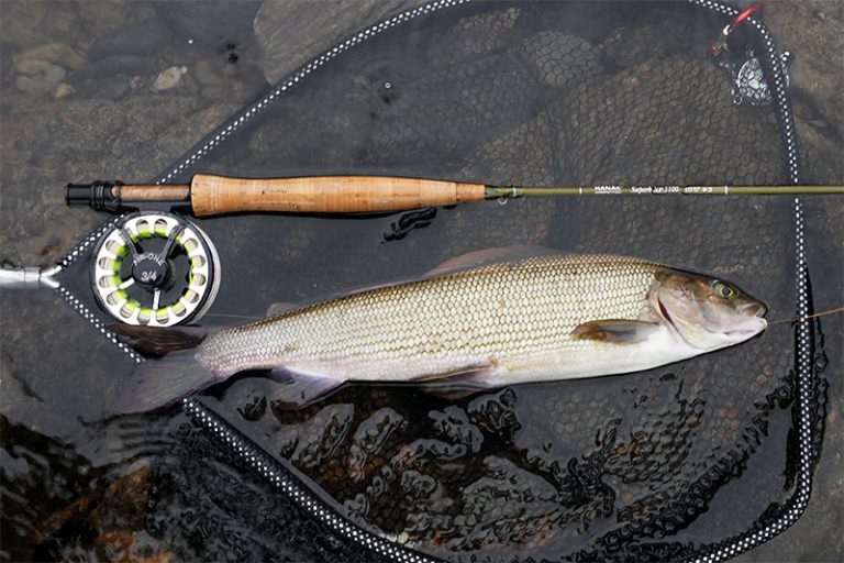 12 Best Nymphs for Autumn grayling fishing