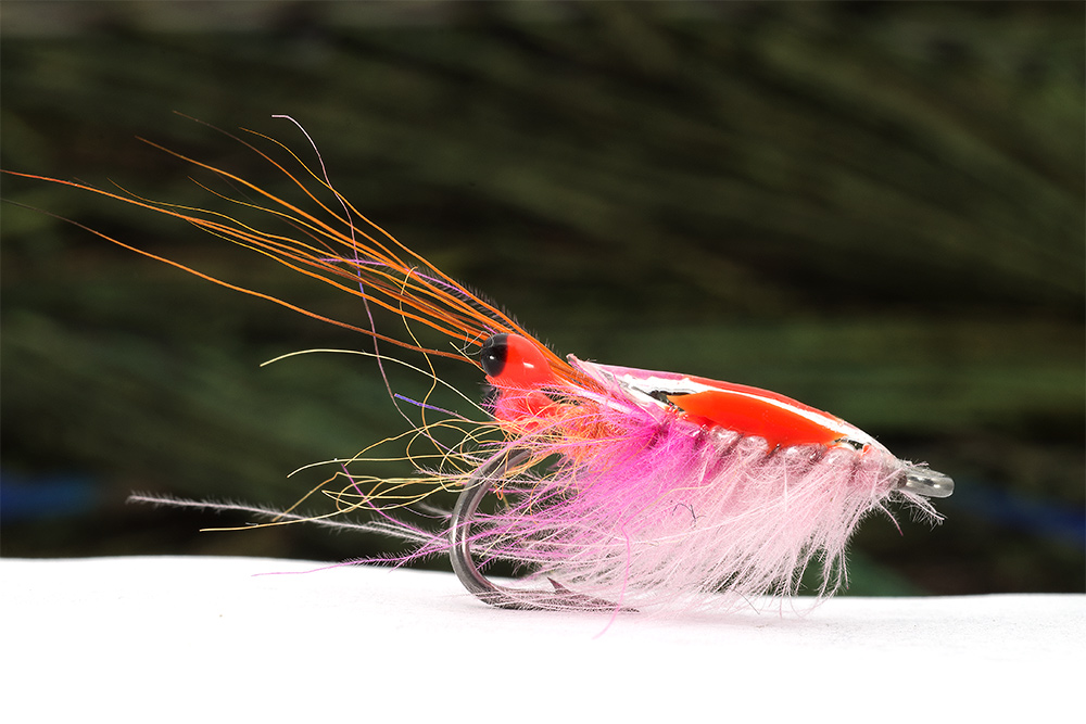 CDC Saltwater Shrimp