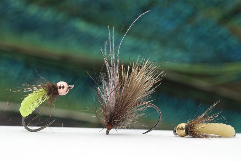Caddis time 3 patterns for trout that we love