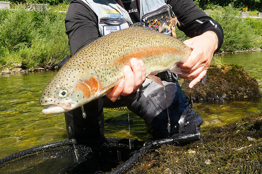 Slovenia 2020 Fly fishing report