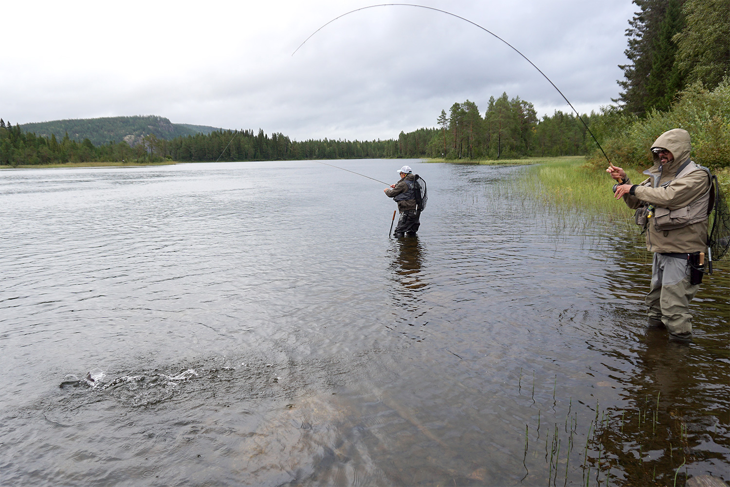 Fishing and angling in Sweden