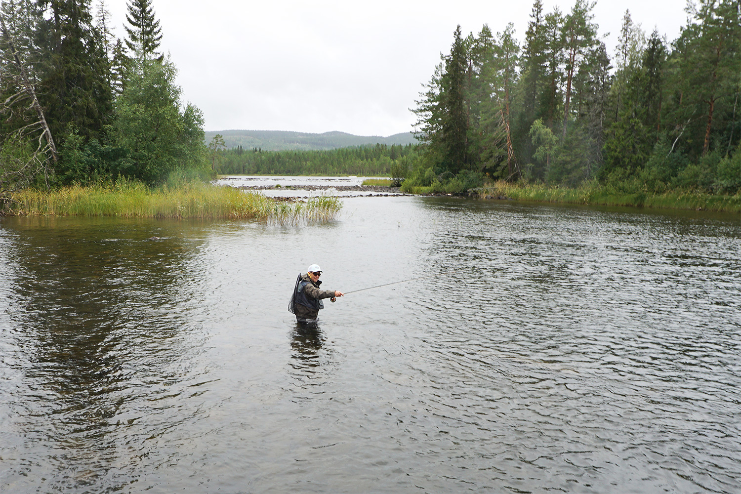 Fishing and angling in Sweden