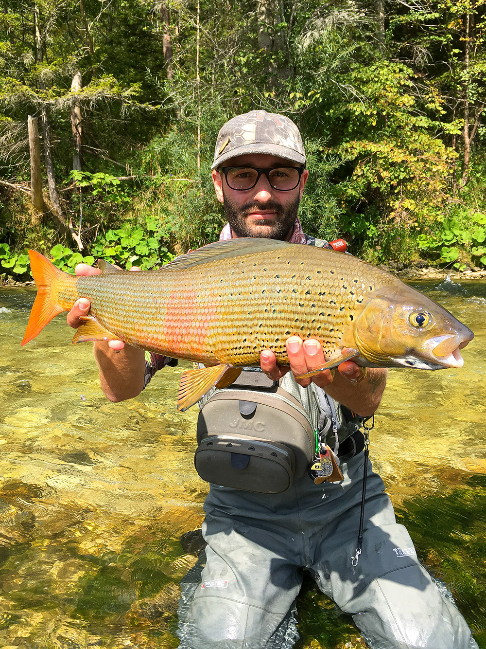 European Grayling Record -61cm