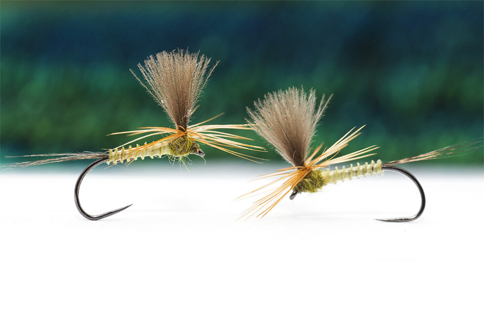 Olive Biot Prachute fly – for grayling