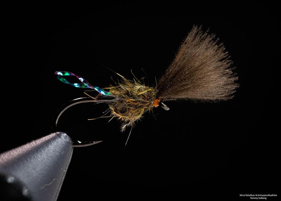 Shuttlecock fly 2025