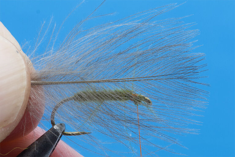 Step by Step – Tying a 3 feathers Sedge