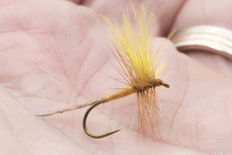 Spring is here: Time to Hatch Some Classics! - Fly Tying