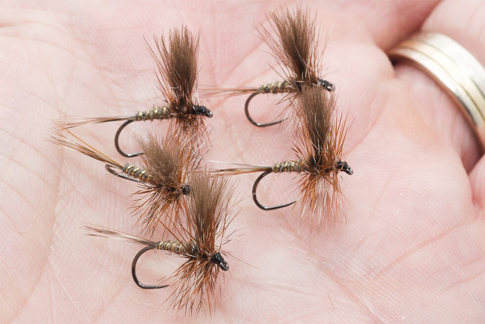 Adams Dry Fly